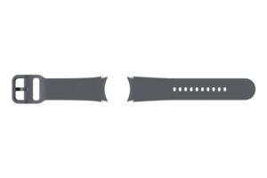 Samsung ET-SFR90SJEGEU del och tillbehör till armbandsur Klockarmband